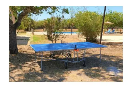 Finca avec piscine et verger à Campos : photo 20