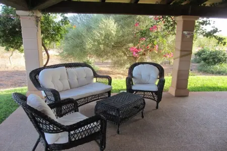 Finca avec piscine et verger à Campos : photo 21