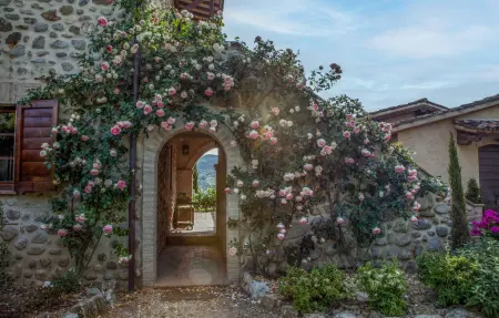 Maison en pierre avec piscine près d'Allerona : photo 13