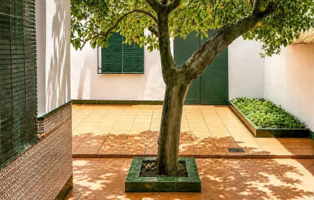 Maison 3 chambres avec piscine à La Puebla de los Infantes : photo 6