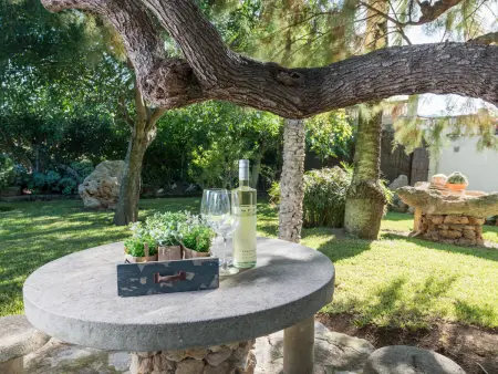 Sort Llarga : maison Pollença, piscine 7x7m, 6 pers. : photo 7