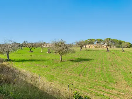Maison de campagne, piscine privée - 4 pers., Gite 4 personnes à Santa Margalida - Photo 21