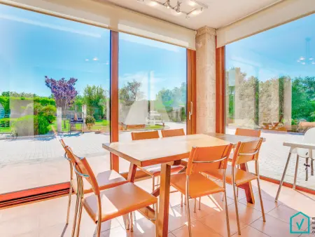 Gîte 10 pers. avec piscine 14x8m à Alcúdia : photo 13