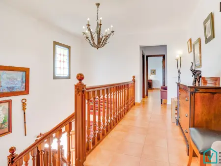 Gîte 10 pers. avec piscine 14x8m à Alcúdia : photo 29