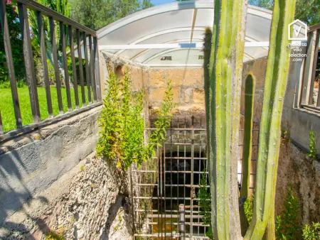 Villa Moli Den Fanals à Alcúdia - Piscine et grotte : photo 20