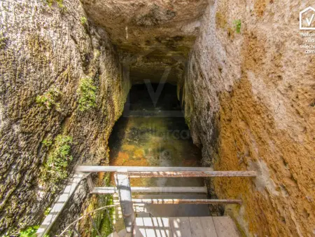 Villa Moli Den Fanals à Alcúdia - Piscine et grotte : photo 21