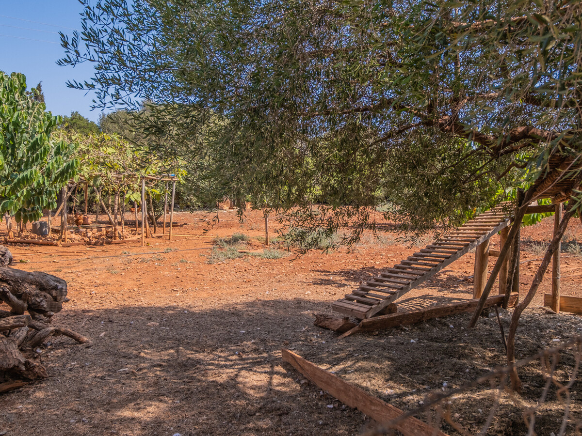 Can Llorenç - Gîte 8 pers. piscine à Cala Mendia - Photo 35