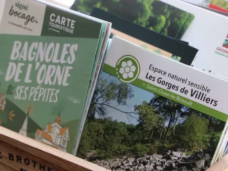 Gîte 2 maisons avec espace jeux - 6 pers. Ferté-Macé : photo 18