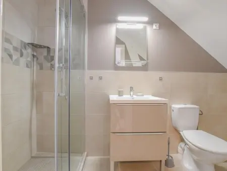 Gîte 12 pers. avec piscine à Précy-Saint-Martin : photo 17