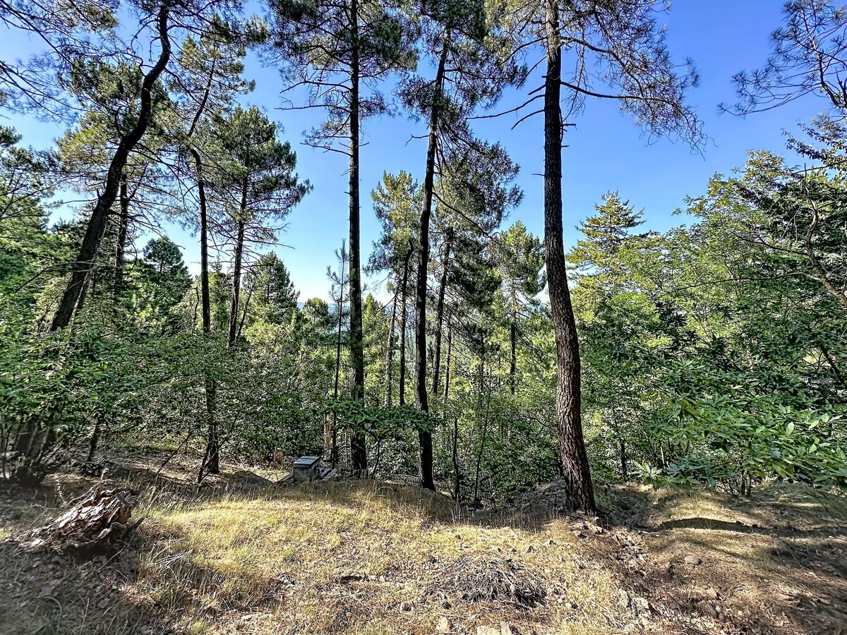 La Bergerie de Portes - Gîte 4 pers. rénové 2025 - Photo 31