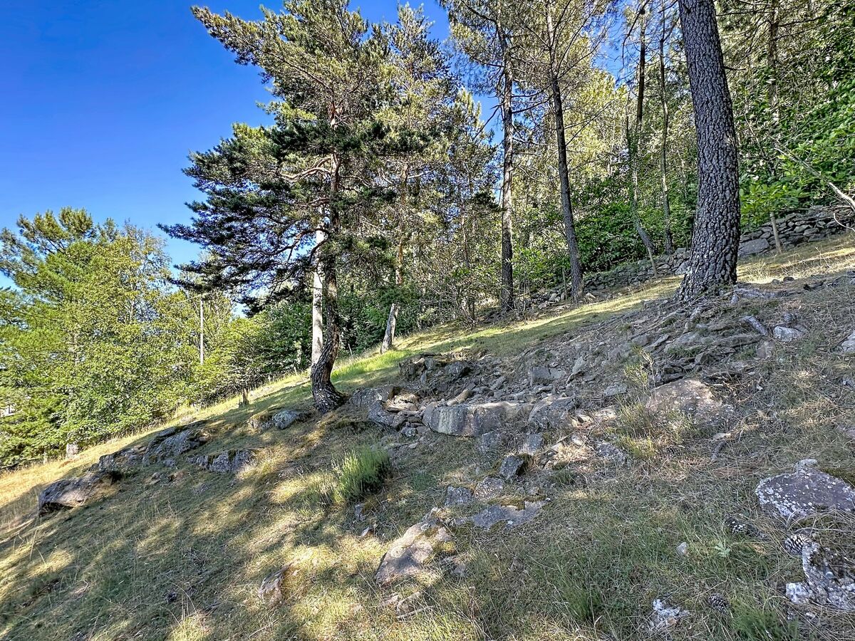 La Bergerie de Portes - Gîte 4 pers. rénové 2025 - Photo 33
