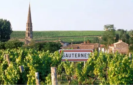 Maison en pierre à Sauternes, 3 chambres, 150 m² : photo 17