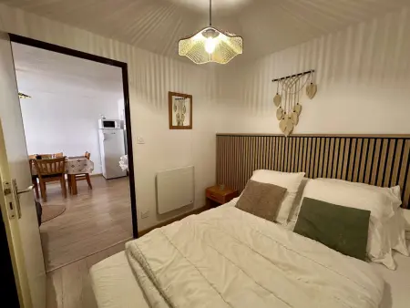 Appartement 6 pers. au cœur de Saint-Lary, animaux OK : photo 11