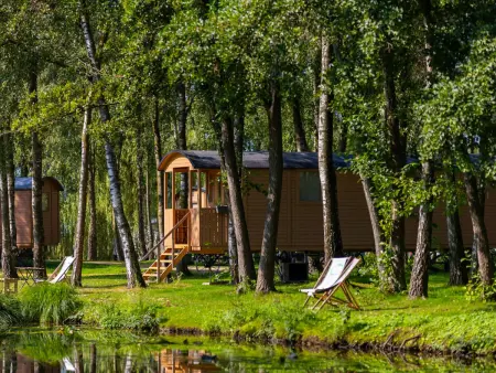 Location maison à Kinrooi, Camping Papillon Kinrooi - Pipowagen 4 p. terras