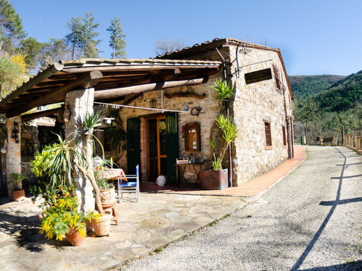 Le Piane : maison en pierre avec piscine près de Lucca - Photo 8