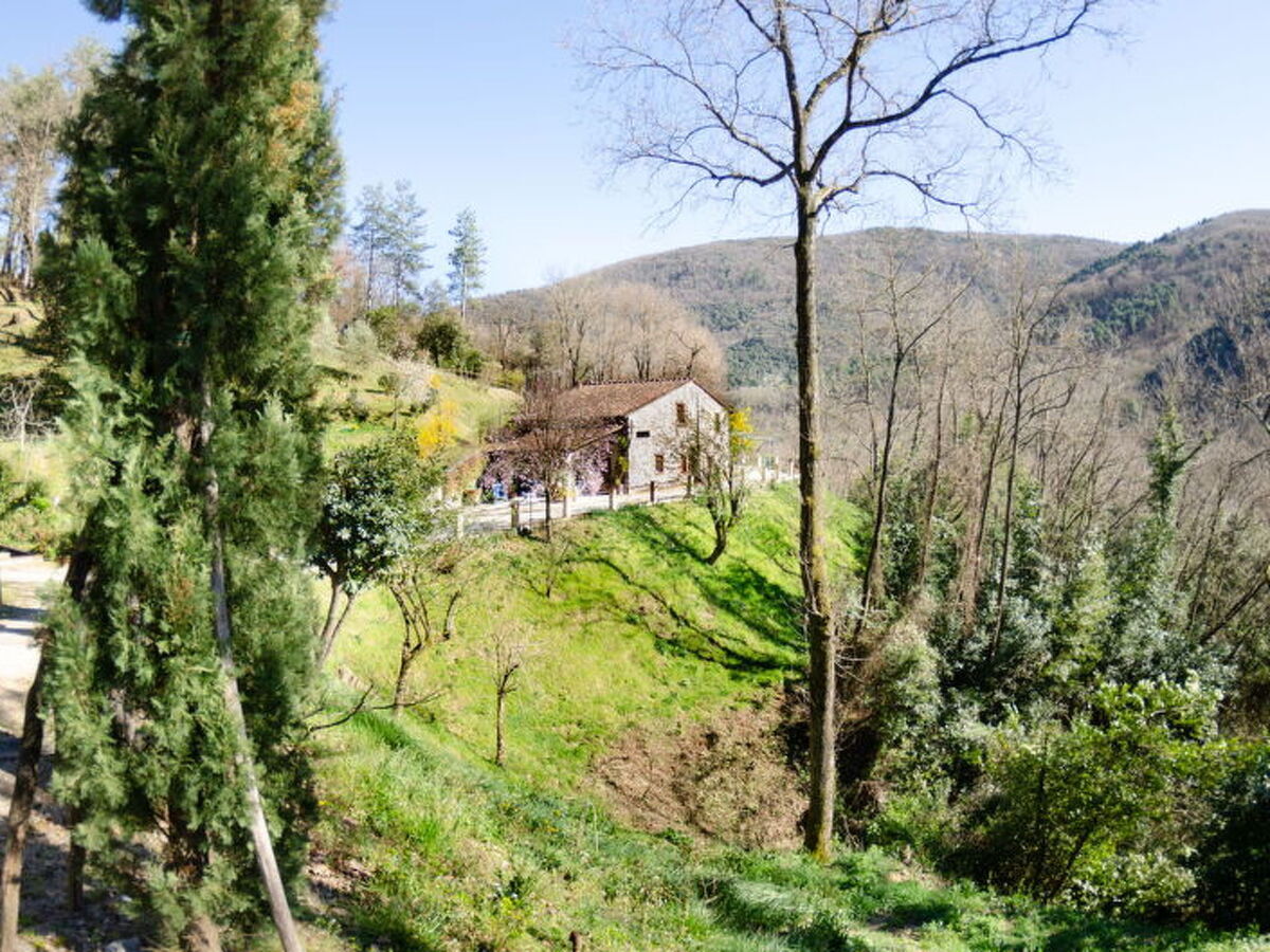 Le Piane : maison en pierre avec piscine près de Lucca - Photo 9