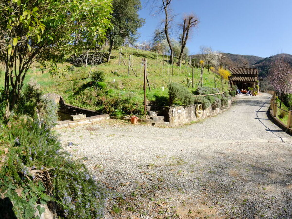 Le Piane : maison en pierre avec piscine près de Lucca - Photo 12