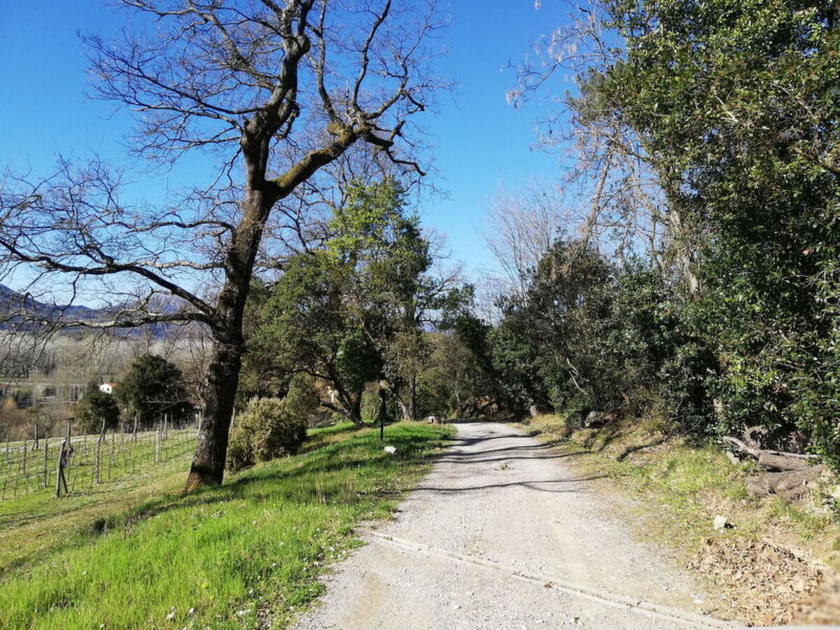 Le Piane : maison en pierre avec piscine près de Lucca - Photo 18