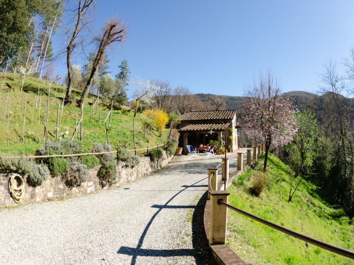 Le Piane : maison en pierre avec piscine près de Lucca - Photo 23
