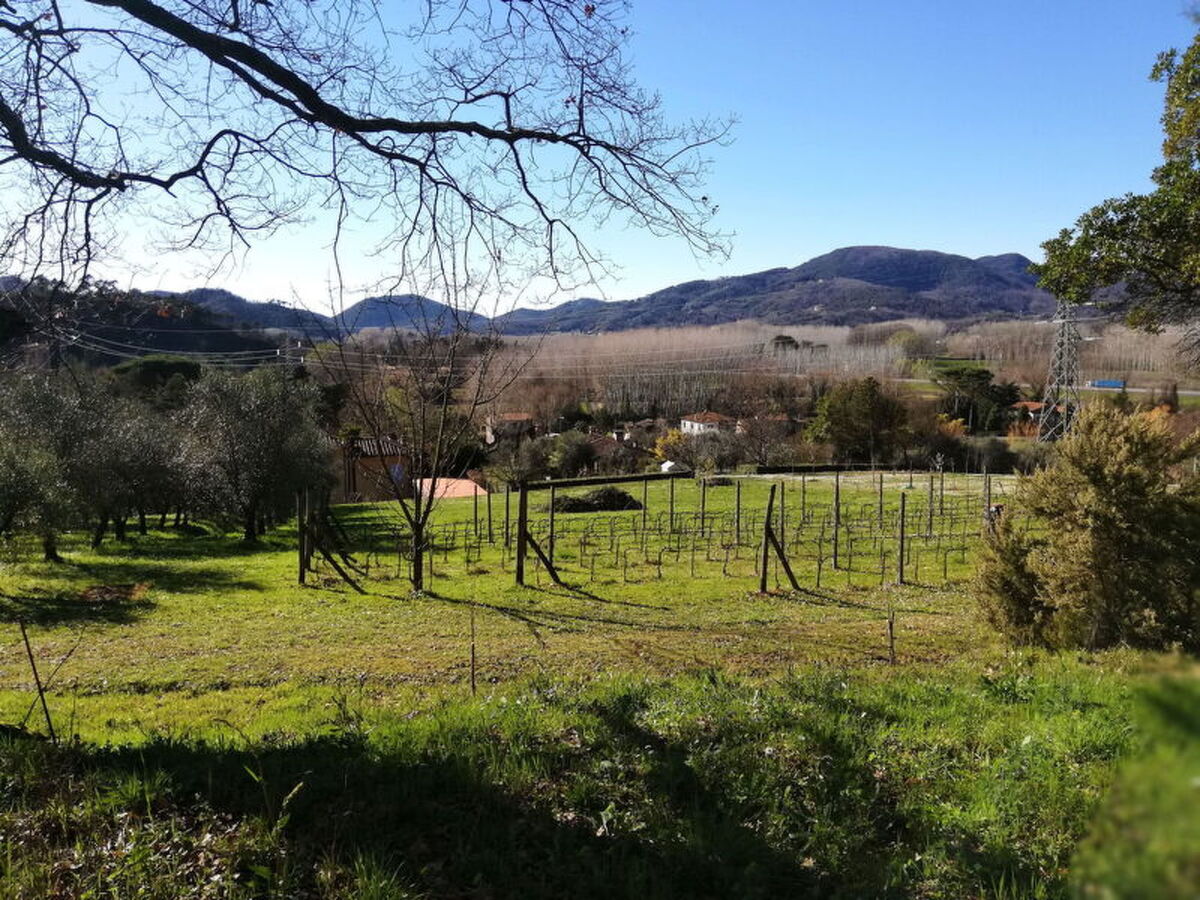 Le Piane : maison en pierre avec piscine près de Lucca - Photo 31