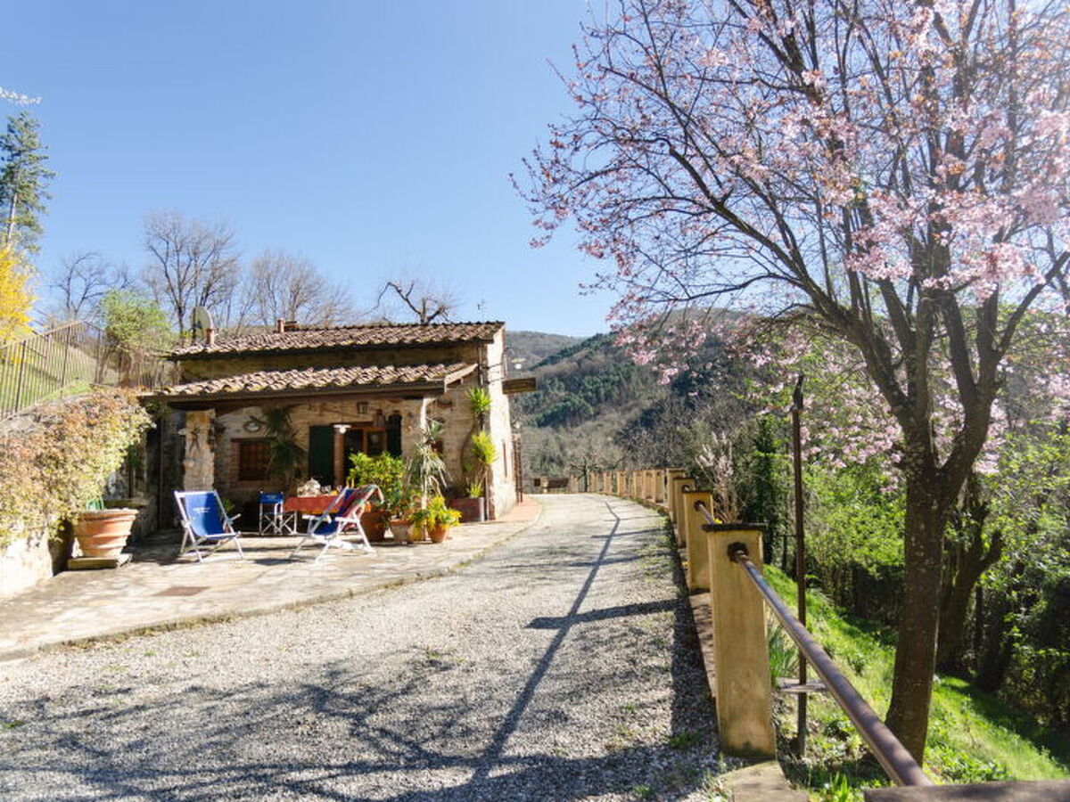 Le Piane : maison en pierre avec piscine près de Lucca - Photo 67