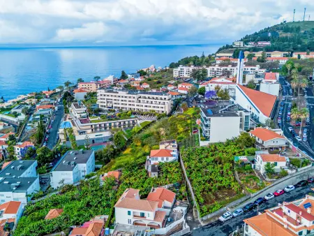 Studio 46 m² vue mer et montagnes à Funchal : photo 24