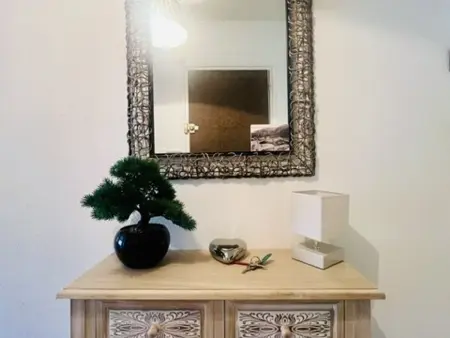 F2 climatisé terrasse 14m² - Amélie-les-Bains : photo 15