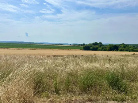 Maison de village à Palenge près de Durbuy, 10 personnes : photo 42