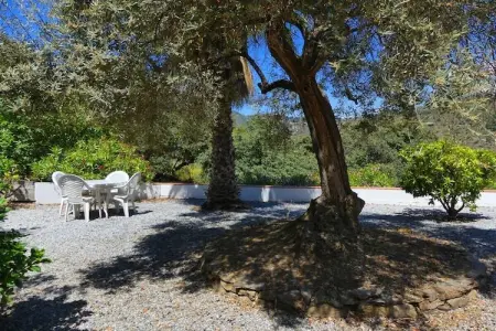 Maison 3 chambres avec piscine privée à Torrox : photo 13