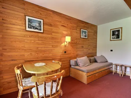 Studio 23 m² accès direct pistes - Belle Plagne : photo 7