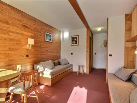 Studio 23 m² accès direct pistes - Belle Plagne : photo 11