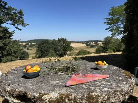 Gîte Les Ciseaux - Maison 8 pers., forêt privée : photo 32