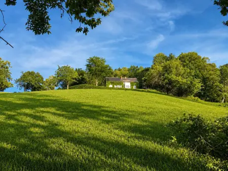 Gîte Les Ciseaux - Maison 8 pers., forêt privée : photo 36