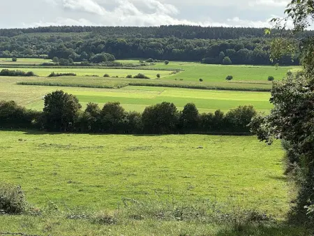 Villa M, maison à ossature bois à Durbuy avec grand jardin clôturé : photo 35