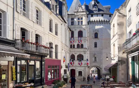 Maison 6 chambres avec piscine privée à Manthelan : photo 20