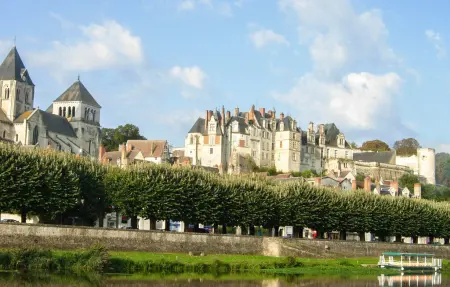 Maison 6 chambres avec piscine privée à Manthelan : photo 23