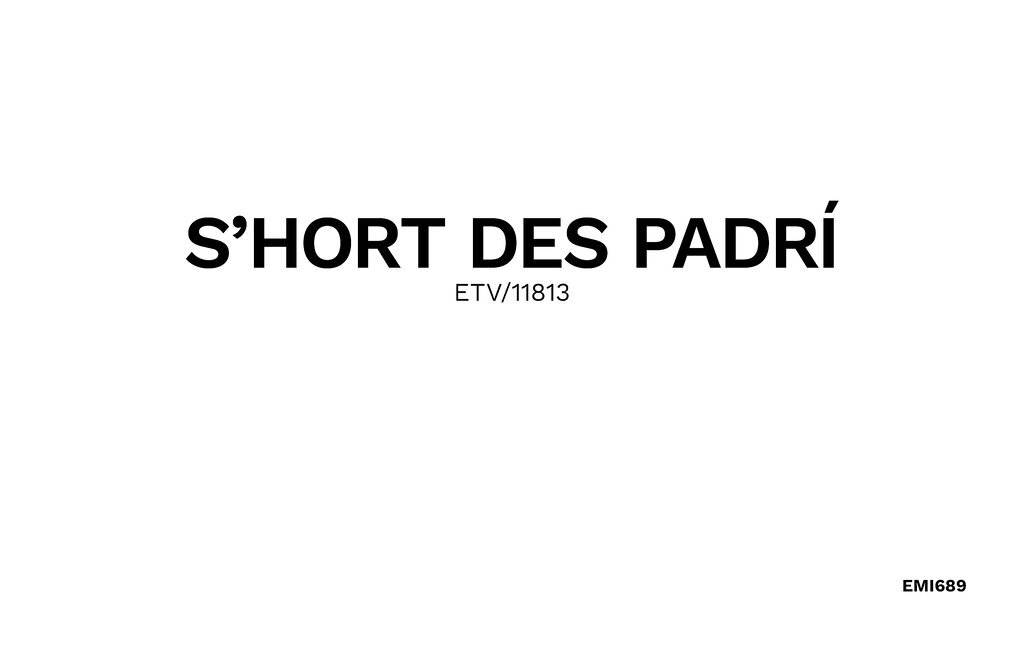 S´HORT DES PREDRÍ, Maison 8 personnes à Marratxí - Photo 35