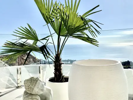Appartement 115 m² vue mer et montagne à Benalmádena : photo 12