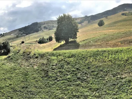 T3 40m² ski aux pieds - 6 pers., balcon Sud : photo 12
