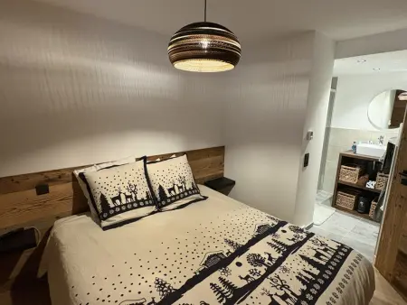 Appartement 6 pers. avec parking couvert aux Carroz : photo 11