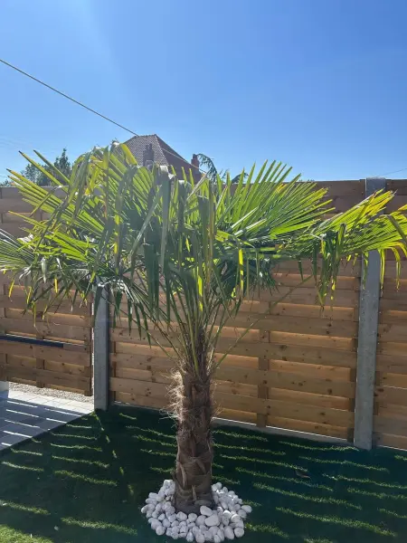 Maison avec sauna et jacuzzi privés à Saint-Omer, 70 m² : photo 27