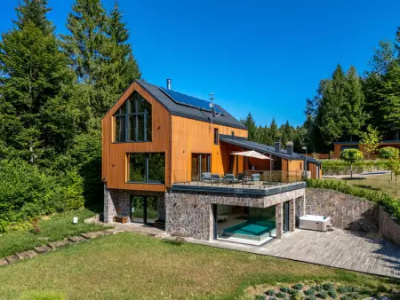 Valera Vita Forest – Maison 10 pers. piscines chauffées : photo 6