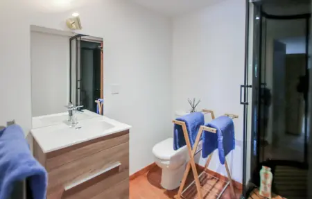 Maison de campagne 70 m² avec terrasse à Saint-Alban-d'Ay : photo 13