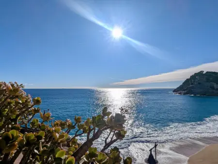 Appartement 6 pers. à 5m de la plage à Tossa de Mar : photo 13