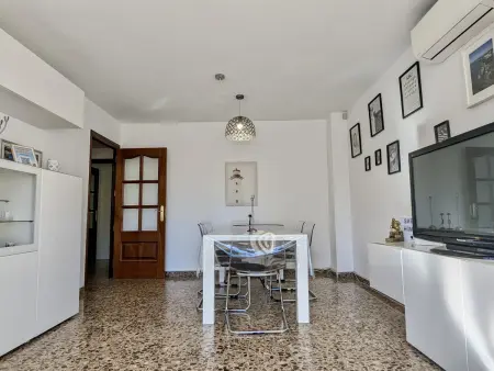 Appartement 8 pers. centre Tossa de Mar, animaux OK : photo 14