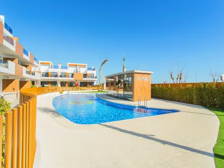 Penthouse 2 chambres, solarium et jacuzzi à Pilar de la Horadada : photo 31
