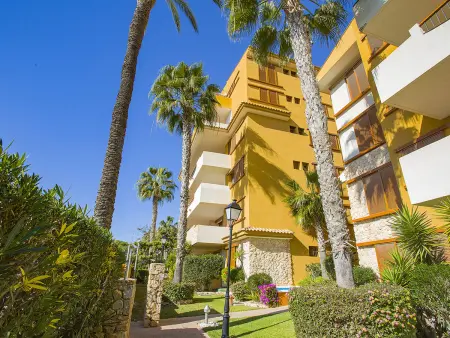 Appartement 70 m² climatisé avec piscine à Cabo Roig : photo 8