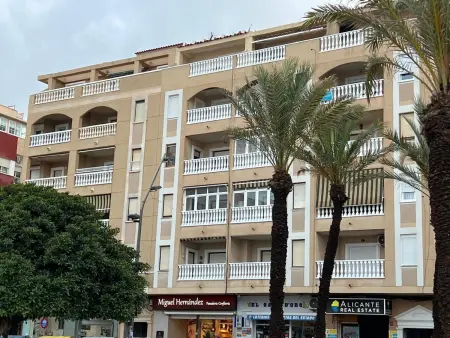 Appartement 60 m² La Mata, terrasse vue mer et plage : photo 20