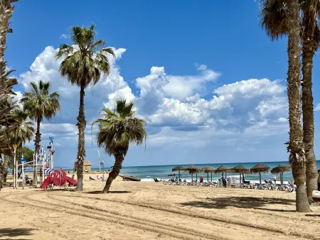 Appartement 60 m² La Mata, terrasse vue mer et plage : photo 28
