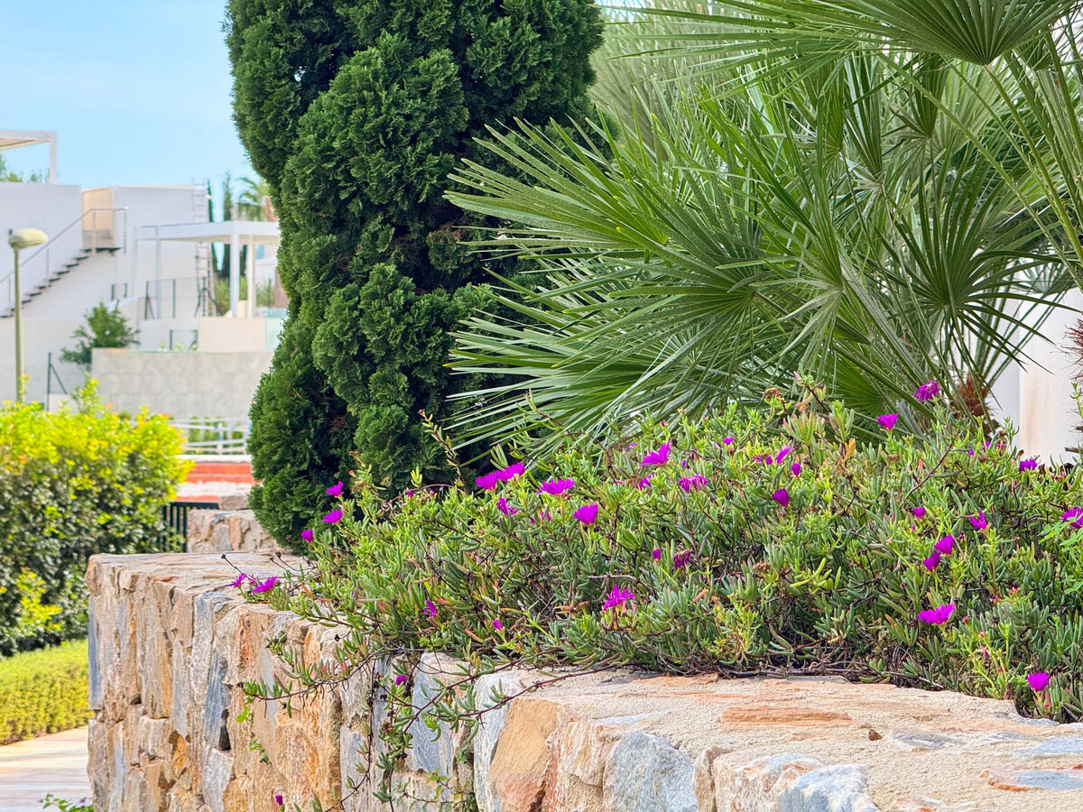 Appartement 3 ch. Las Colinas Golf Resort, Orihuela - Photo 20